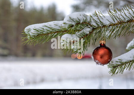 Red christmas Ball auf den verschneiten Tannen Filiale neben der Autobahn. Stockfoto