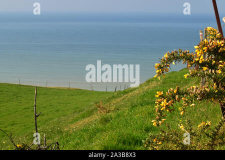 Les Falaises entre le Saint-Pierre et Mers-les-Bains, chemins de randonnée avec vue sur la Mer, La Baie de Somme, Ault, Onival, Cayeux-sur-Mer Stockfoto