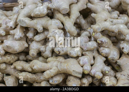 Ingwer Rhizom close-up Hintergrund. Frische natürliche ginger root in einem Supermarkt. Würziger Ingwer Geschmack Stockfoto