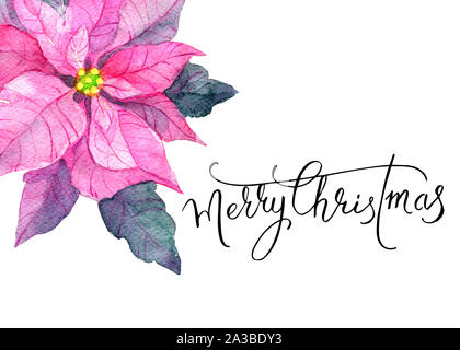 Aquarell Poinsettia. Von Hand bemalt Weihnachtsstern Abbildung auf weißem Hintergrund. Stockfoto