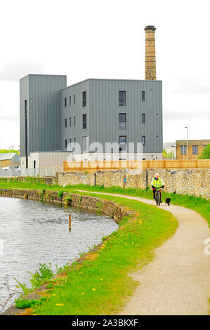 Mann mit Hund Radfahren entlang der Ufer der Leeds Liverpool Kanal vor bridgewalk Apartments in Burnley, Lancashire, Großbritannien Stockfoto