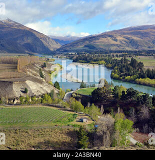 Blick auf die kawarau Schlucht von Bannockburn mit Pinot Noir Weinberge im Vordergrund, Central Otago, Neuseeland Stockfoto