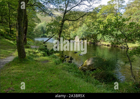 Cumbria Way Fußweg am Fluss Derwent entlang in der Nähe Grange Borrowdale Lake District National Park Cumbria England Großbritannien Großbritannien Stockfoto