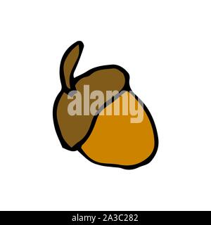 Bunte Acorn. Hand Zeichnung Skizze. Bunte Umrisse auf weißem Hintergrund. Bild kann in Werbung, Plakate, Flyer, Banner, Logo verwendet werden, die weitere Gestaltung etc. Vector Illustration. EPS 10. Stock Vektor
