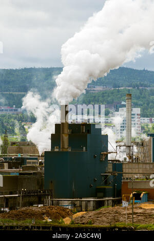Papierfabrik in Corner Brook Neufundland Kanada Stockfoto