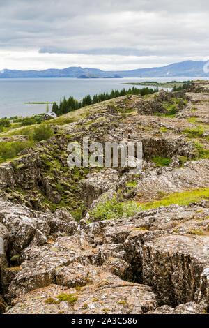 Thingvellir, Island - die Kluft zwischen den Europäischen und Nordamerikanischen Kontinentalplatte. Tektonische Platten konvergieren in Island Stockfoto