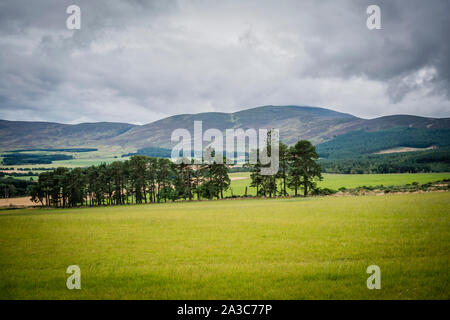 Schönen Hügeln und Ackerland im Queens Anzeigen in der Nähe von tarland in Aberdeenshire unter einem Moody sky Stockfoto