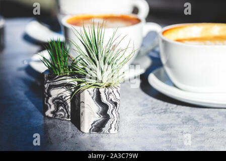 Zwei Tassen flache weiße Kaffee in dem Cafe und marmoriert Geometrische saftige Pflanzmaschinen, schönen, sonnigen Tag, Schatten auf dem Tisch. Stockfoto