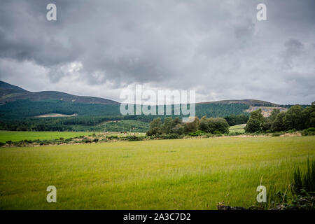 Schönen Hügeln und Ackerland im Queens Anzeigen in der Nähe von tarland in Aberdeenshire unter einem Moody sky Stockfoto