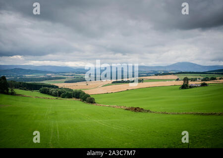 Schönen Hügeln und Ackerland im Queens Anzeigen in der Nähe von tarland in Aberdeenshire unter einem Moody sky Stockfoto