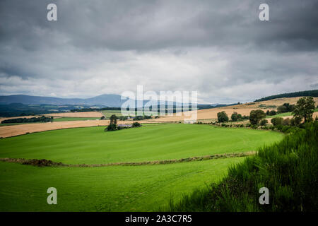 Schönen Hügeln und Ackerland im Queens Anzeigen in der Nähe von tarland in Aberdeenshire unter einem Moody sky Stockfoto