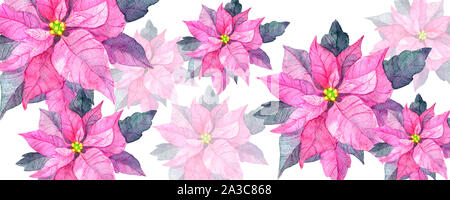 Aquarell Poinsettia. Von Hand bemalt Weihnachtsstern Abbildung auf weißem Hintergrund. Stockfoto