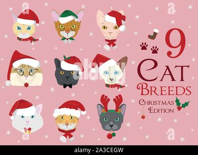 Set von 9 Katzenrassen mit Weihnachten und Winter Themen Stock Vektor