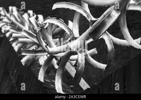 Raue scharfe Stahl zaun Fragment über schwarzen verschwommenen Hintergrund Stockfoto