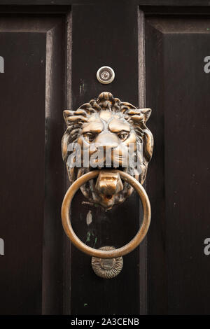 Alte klassische Türgriff in Form von Lion's Head mit Ring auf dunklen Vintage hölzerne Tür montiert, Nahaufnahme Stockfoto