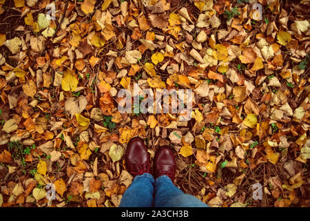 Herbst, Herbst, Blätter, Beine und Schuhe. Konzeptionelle Bild der Beine Stiefel auf der Blätter im Herbst. Füße Schuhe Wandern in der Natur. Stockfoto
