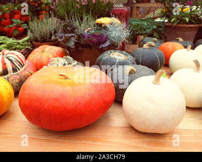 Herbst Zusammensetzung mit Kürbissen, Stroh und Ahornblätter. Stockfoto