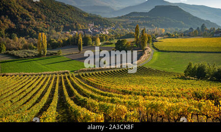 Die Weinberge und das Dorf Valserres herum im Herbst. Weingut und Reben in der Alpes-de-Haute-Provence, Alpen, Frankreich Stockfoto