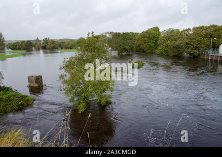 Skibbereen, West Cork, Irland 7. Oktober 2019. Sintflutartige Regenfälle verursachten über Nacht den Fluss Kaiser nördlich von Skibbereen seine Banken zu platzen, Überschwemmungen in niedrig liegenden Landwirt und Weiden. Mehr heavy rain ist heute erwartet. Kredit aphperspective/Alamy leben Nachrichten Stockfoto