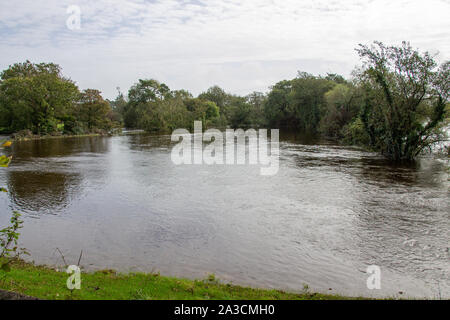 Skibbereen, West Cork, Irland 7. Oktober 2019. Sintflutartige Regenfälle verursachten über Nacht den Fluss Kaiser nördlich von Skibbereen seine Banken zu platzen, Überschwemmungen in niedrig liegenden Landwirt und Weiden. Mehr heavy rain ist heute erwartet. Kredit aphperspective/Alamy leben Nachrichten Stockfoto