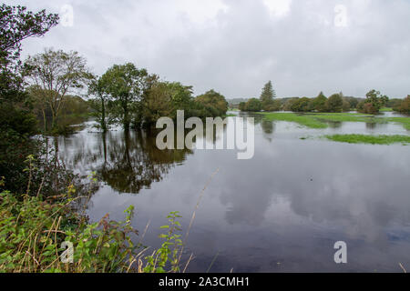 Skibbereen, West Cork, Irland 7. Oktober 2019. Sintflutartige Regenfälle verursachten über Nacht den Fluss Kaiser nördlich von Skibbereen seine Banken zu platzen, Überschwemmungen in niedrig liegenden Landwirt und Weiden. Mehr heavy rain ist heute erwartet. Kredit aphperspective/Alamy leben Nachrichten Stockfoto