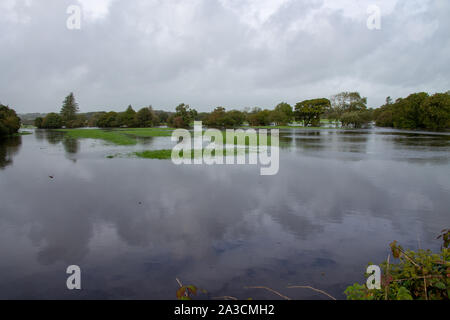 Skibbereen, West Cork, Irland 7. Oktober 2019. Sintflutartige Regenfälle verursachten über Nacht den Fluss Kaiser nördlich von Skibbereen seine Banken zu platzen, Überschwemmungen in niedrig liegenden Landwirt und Weiden. Mehr heavy rain ist heute erwartet. Kredit aphperspective/Alamy leben Nachrichten Stockfoto