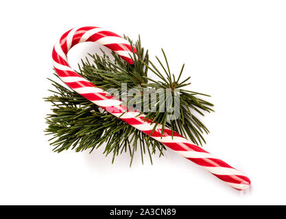 Candy Cane mit pine Zweig auf weißem Hintergrund Stockfoto