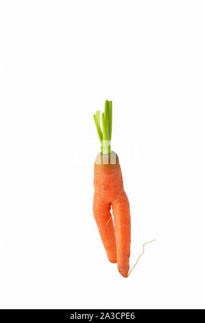 Lustig geformte Karotte auf weißem Hintergrund Stockfoto