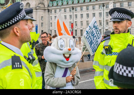 London, Großbritannien. 07 Okt, 2019. Die Westminster Bridge blockiert wird - Aussterben Rebellion starten im Oktober Aktion die Straßen im Zentrum Londons für bis zu zwei Wochen blockieren. Sie sind einmal hervorheben, das Klima, mit der Zeit den Planeten vor einer Klimakatastrophe zu speichern. Dies ist Teil der laufenden ER und andere Proteste zu handeln, die von der britischen Regierung auf die "klimakrise" verlangen. Die Aktion ist Teil einer international koordinierten protestieren. Credit: Guy Bell/Alamy leben Nachrichten Stockfoto