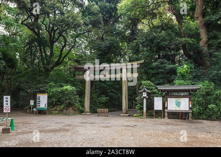 Tokio, Japan, Asien - 25. August 2019: Das Torii Tor zum Meiji Schrein Stockfoto