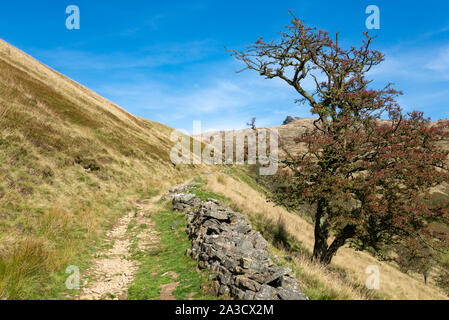 Steilen Pfad zu Jacobs Leiter in das Tal von Morley, Peak District, Derbyshire, England führt. Stockfoto