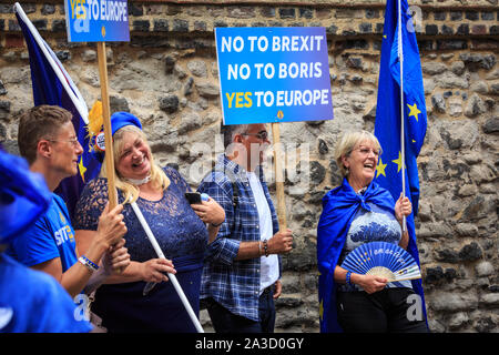 Pro-europäische Anti-Brexit-Demonstranten und Aktivisten mit Flaggen und Plakaten in Westminster während der Auswahlkampagne der Premierminister, London, Großbritannien Stockfoto