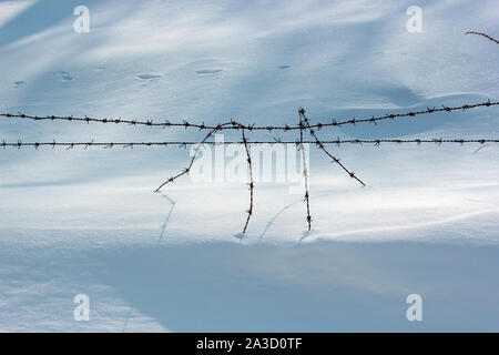 Schnee und Stacheldraht Drahtgeflecht Stockfoto