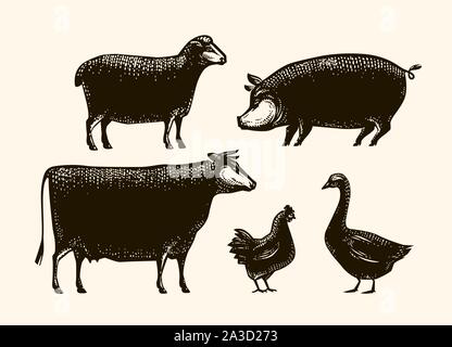 Bauernhof Tiere eingestellt. Landwirtschaft, silhouette Vector Illustration Stock Vektor