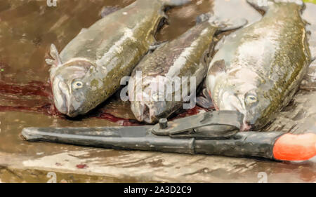 Aquarell Abbildung: Angeln des Teiches in Roetgesbuettel, Forellen (Salmo trutta) vor der Schlachtung zum Verkauf Stockfoto