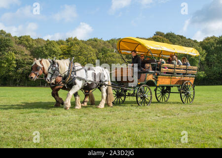 Pferde- und Wagenfahrten auf der Surrey Hills Wood Fair, Großbritannien. Carthorses zieht einen überdachten Wagen. Stockfoto