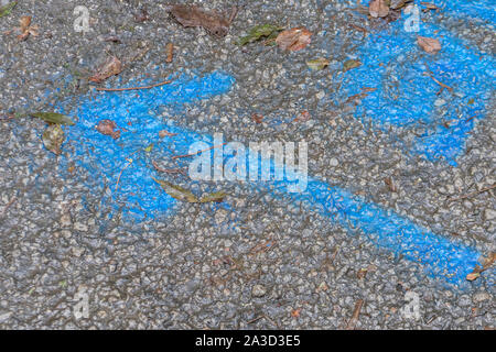 Spritzlackiert blauen Pfeil auf Asphaltstraße Oberfläche - als Teil des Mängelbeseitigungsplans Leitungswasser Aktivität auf einer Landstraße. Leitungswasser austreten. Stockfoto