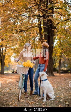 Zwei junge weibliche Freunde zu Fuß in den gelben Herbst park mit Hund und Fahrrad Stockfoto
