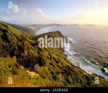 Neuseeland. Cape Reinga. Küste mit Te Werahi Strand bei Sonnenuntergang. Stockfoto