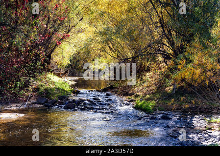 Bunte Fluss und Wald unter Sonnenlicht. Dramatische malerische Szene. Märchenhaftes Sonnenlicht über dem See bei Sonnenuntergang. Postkarte. Stockfoto