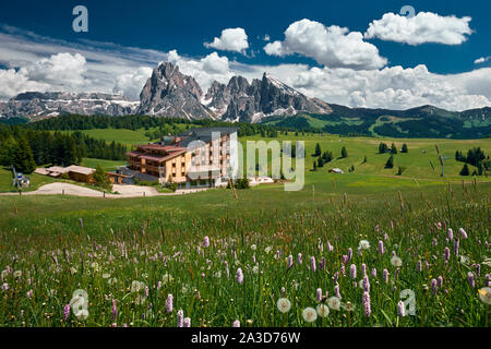 Die Landschaft rund um Seiser Alm, die größte in Europa. In den Dolomiten, Südtirol Stockfoto