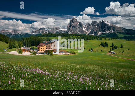 Die Landschaft rund um Seiser Alm, die größte in Europa. In den Dolomiten, Südtirol Stockfoto