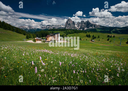 Die Landschaft rund um Seiser Alm, die größte in Europa. In den Dolomiten, Südtirol Stockfoto