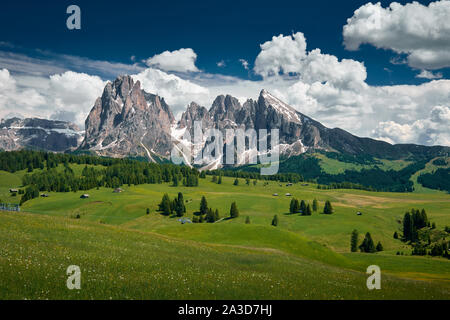 Die Landschaft rund um Seiser Alm, die größte in Europa. In den Dolomiten, Südtirol Stockfoto