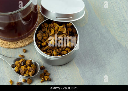 Natürliche und wilde chaga Pilz Stücke in Container. Mit einer Tasse heißen Tee chaga auf grau Holz Hintergrund begleitet. Stockfoto