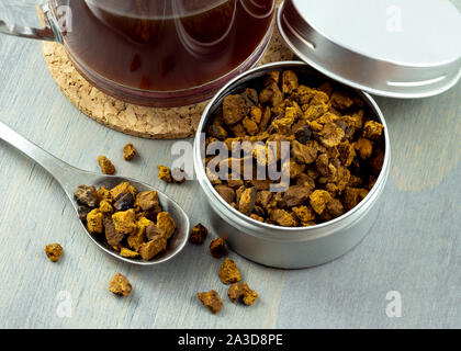 Natürliche und wilde chaga Pilz Stücke in Container. Mit einer Tasse heißen Tee chaga auf grau Holz Hintergrund begleitet. Stockfoto