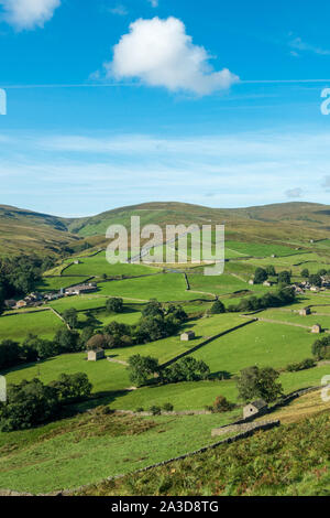 Auf Buttertubs Pass (berühmte Straße Radfahren Hill Climb) in Swaledale aus der Entfernung und viele alte Stein Scheunen, Yorkshire Dales National Park Stockfoto