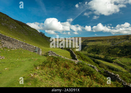 Einen atemberaubenden Blick auf die malerische Swaledale aus der Pennine Way Weg in Richtung Norden. Stockfoto