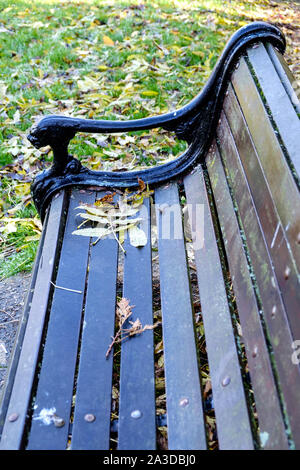 Park Bench close-up mit mehreren braunen und gelben Blätter im Herbst und Laub auf dem grünen Rasen. Herbst Wetter. Stockfoto