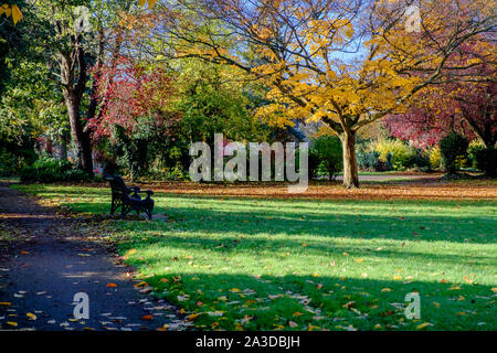 Querformat von Stonegrove Park im Herbst, Edgware, North West London mit Bäumen, Farben ändern und die Blätter fallen. Stockfoto